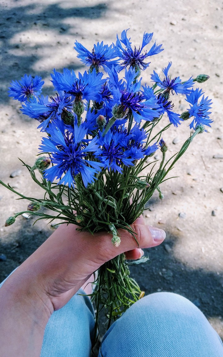 blue mood