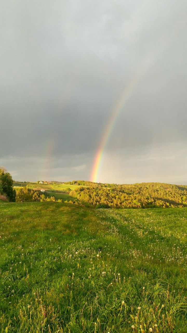 Rainbow