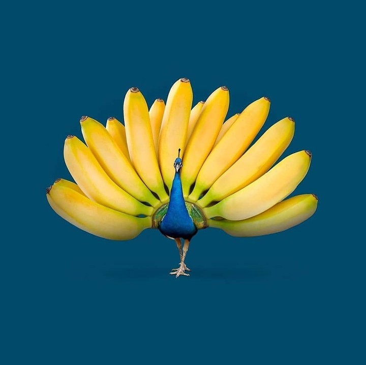 peacock banana