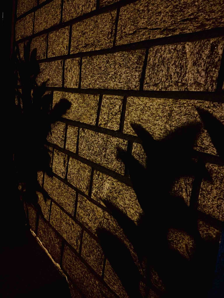 Shadow