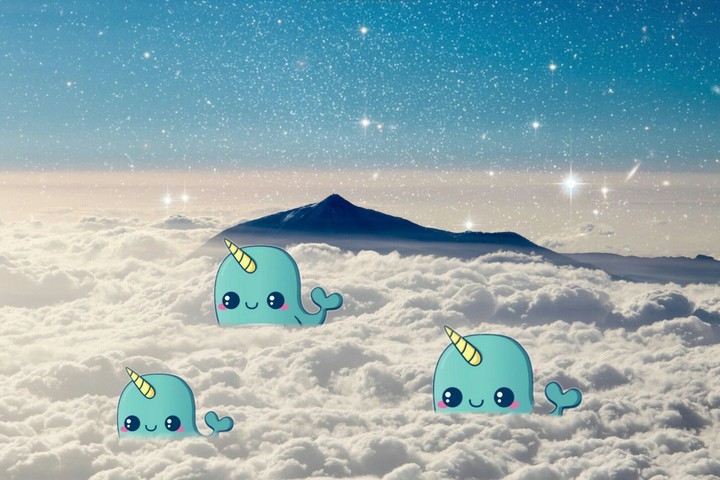 socute