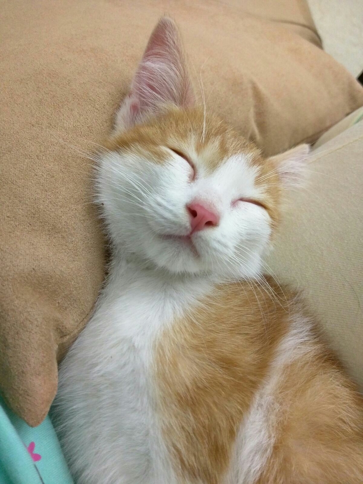 Kiri