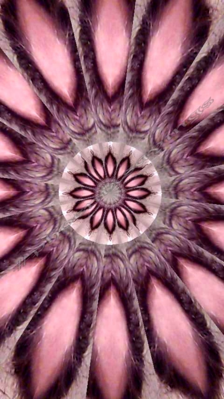 I made this kaleidoscope from feathers off my Deadpool socks