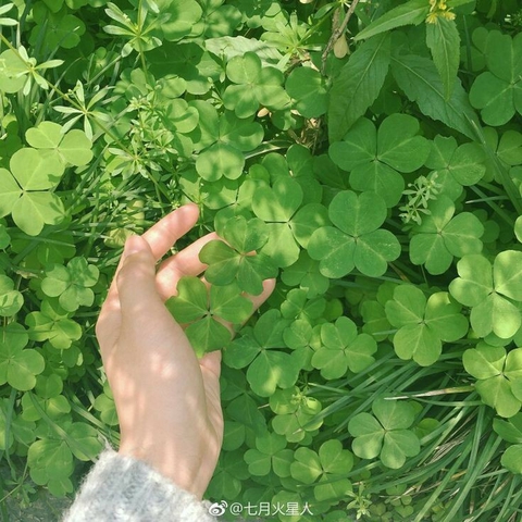 2765