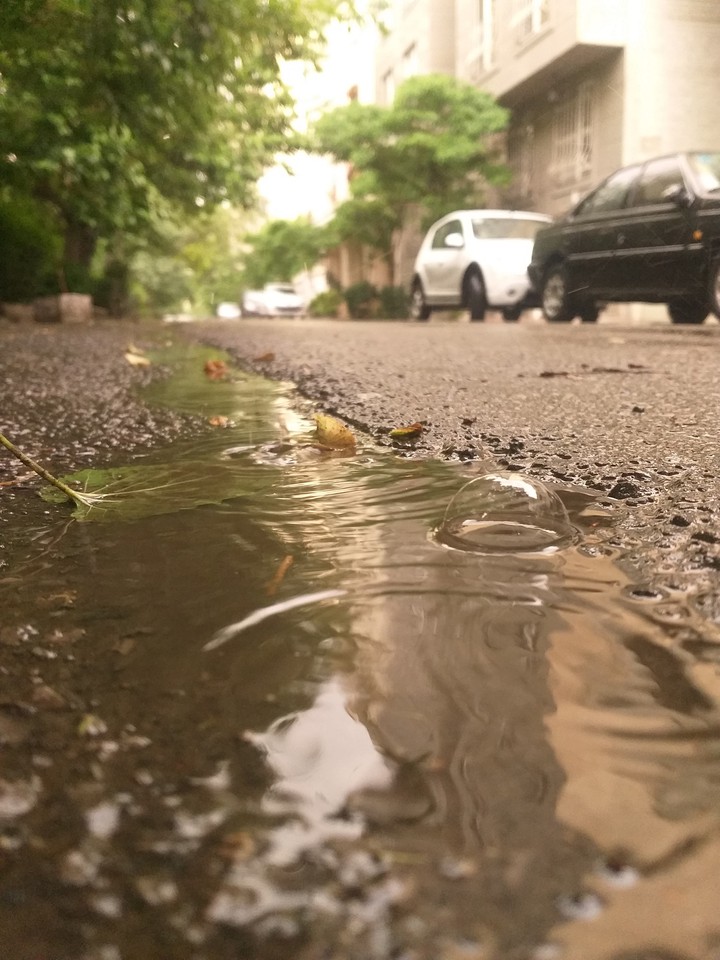 Rainy day