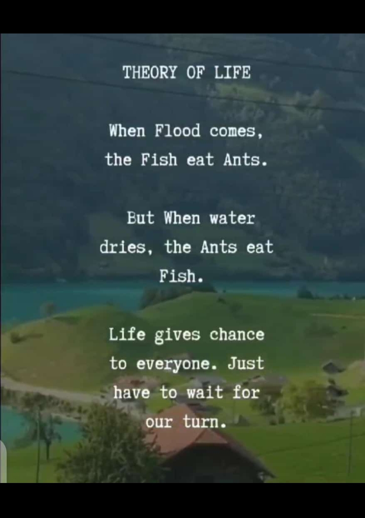 Thoery Of Life.....