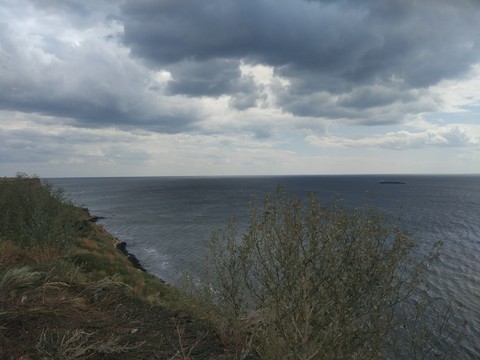 plant, lake桌布