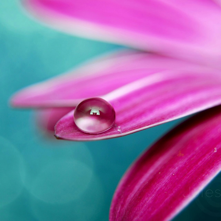 Drop
