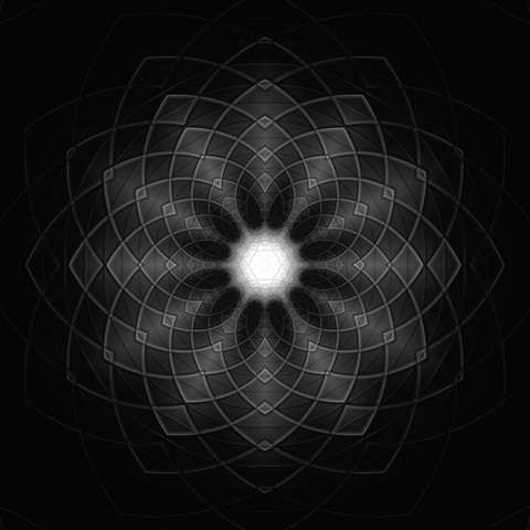 Flower (Black Version)