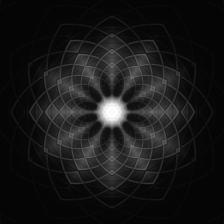 Flower (Black Version)