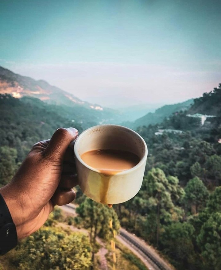 tea