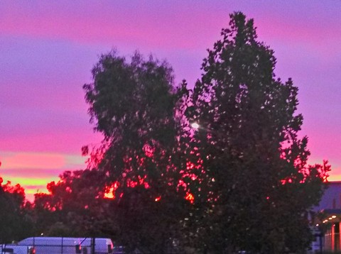 sunset