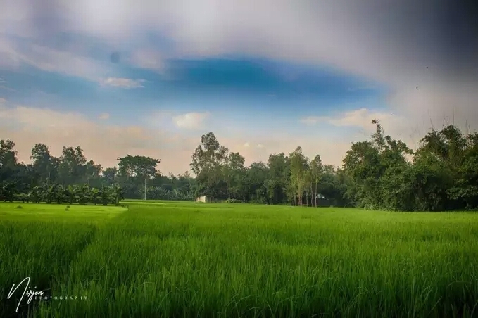 greenery