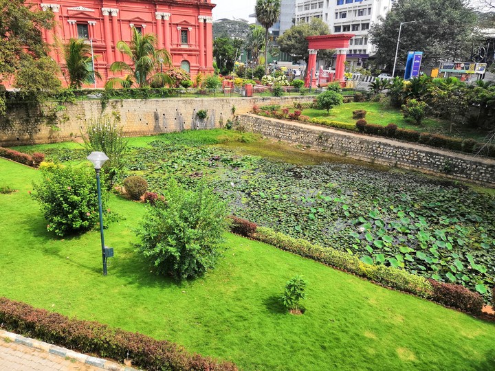 Green Garden