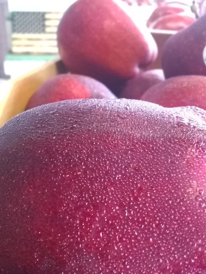 Apples