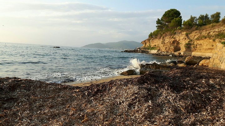 coast