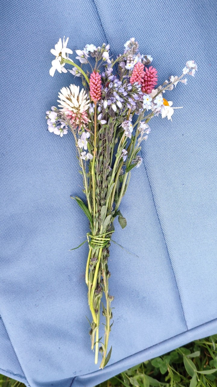 Mountain flowers