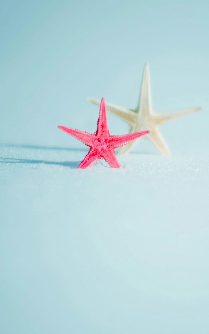 Seastars