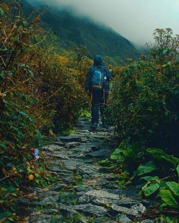 nature