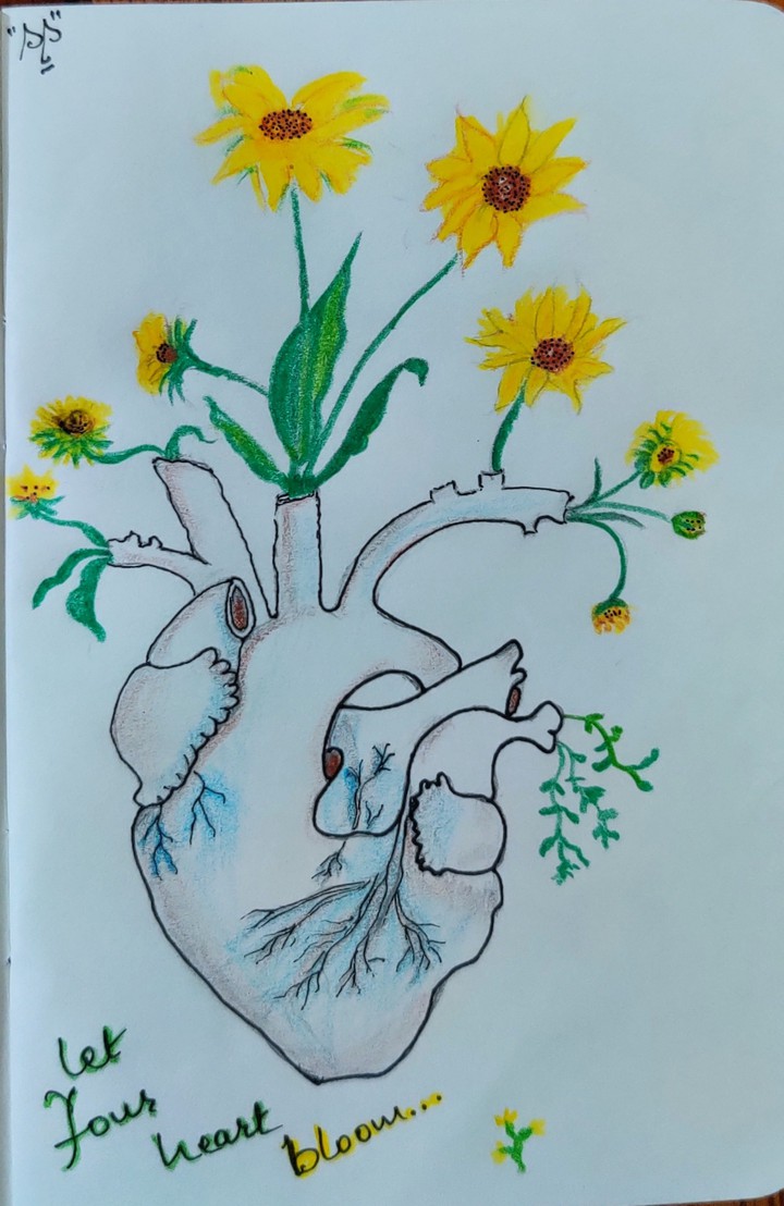 Heart