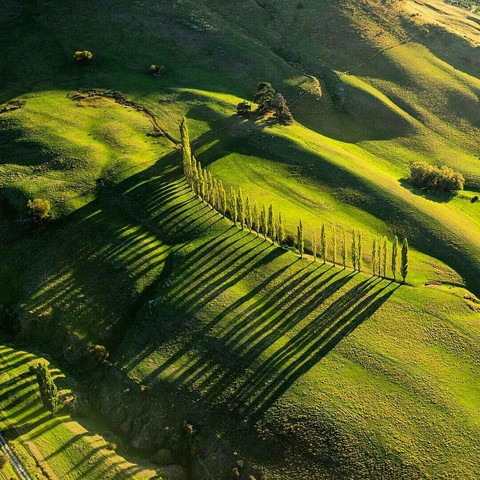 New Zeeland