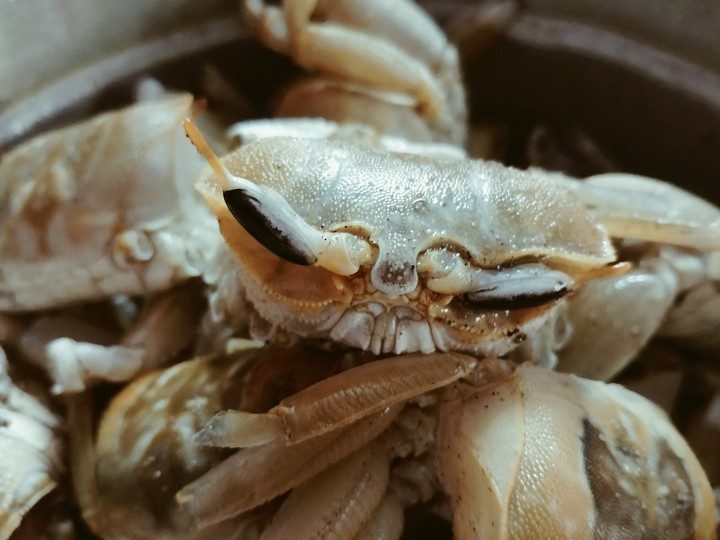 Sea life in our plate