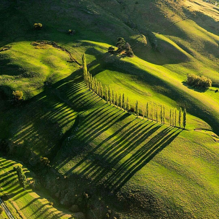 New Zeeland