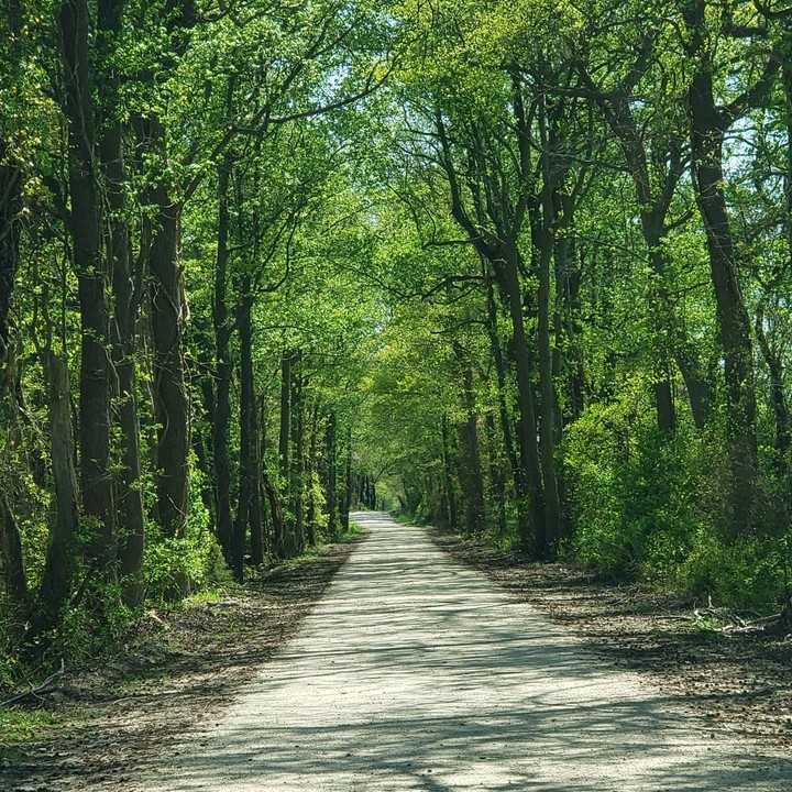 the green mile