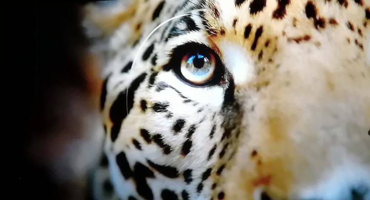Deep look