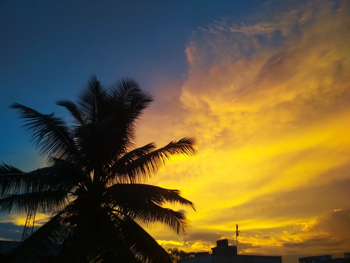 view