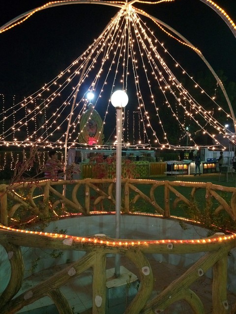 Lights
