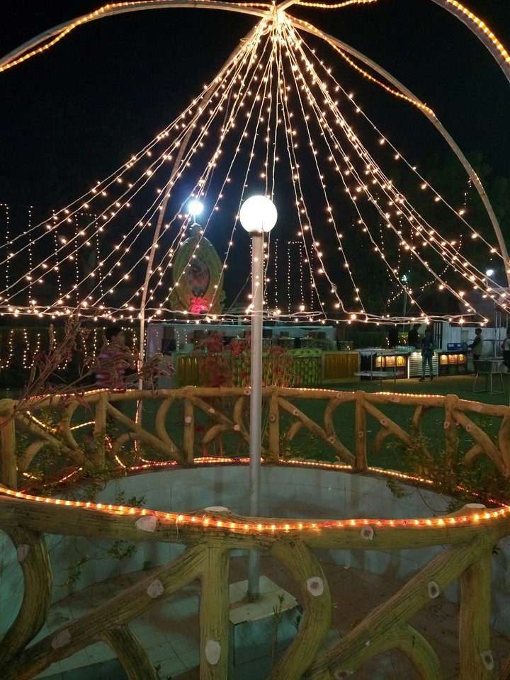 Lights