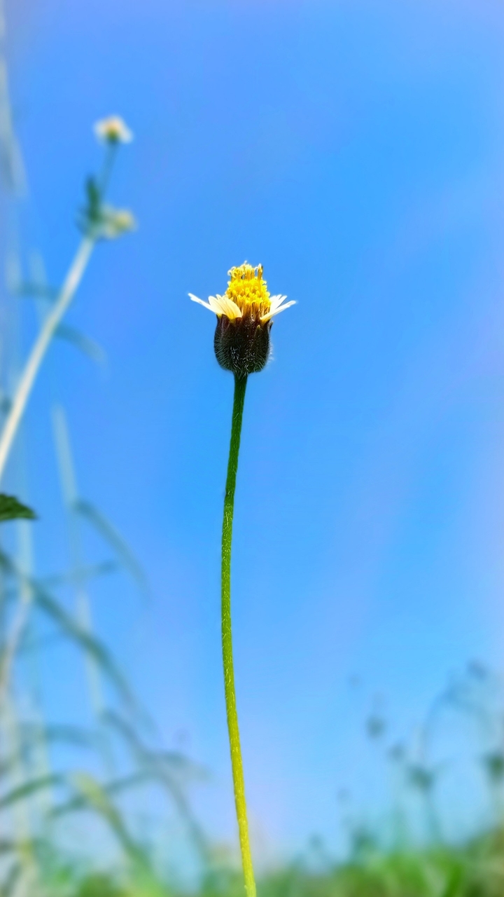 क्लिक