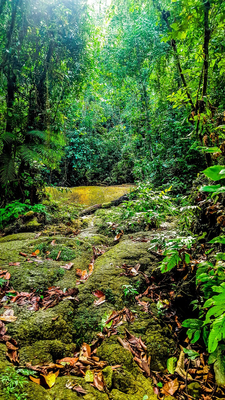 Mother Nature