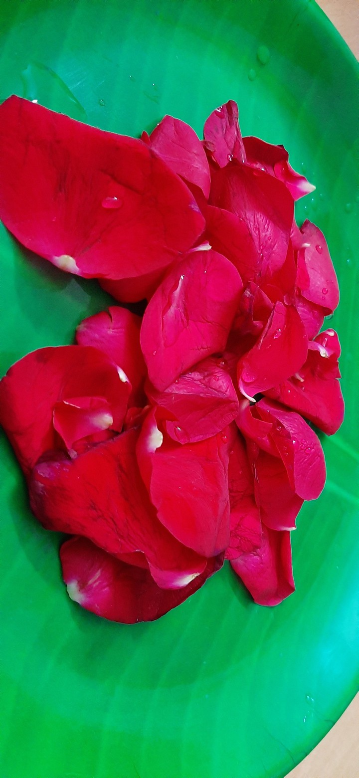 rose