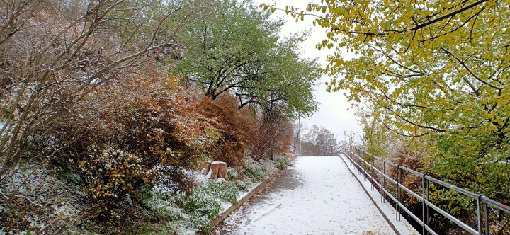walking in the snow