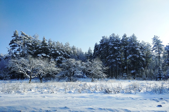 Winter