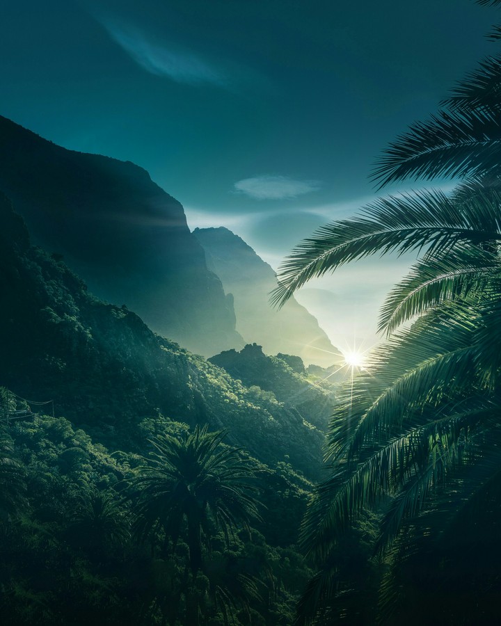 no comment