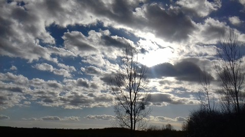 Nature