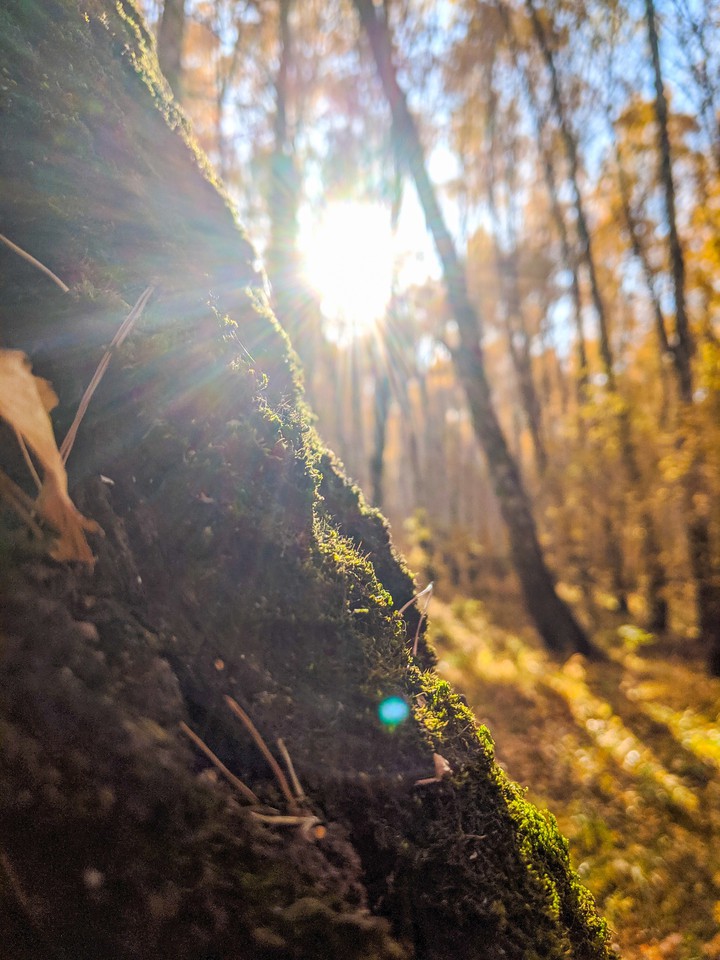 Осень