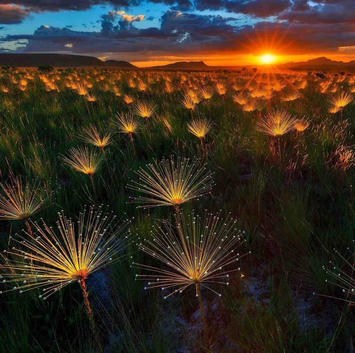 sunrises
