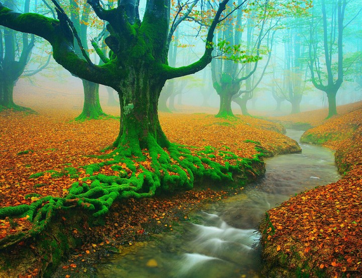 Alava, Spain