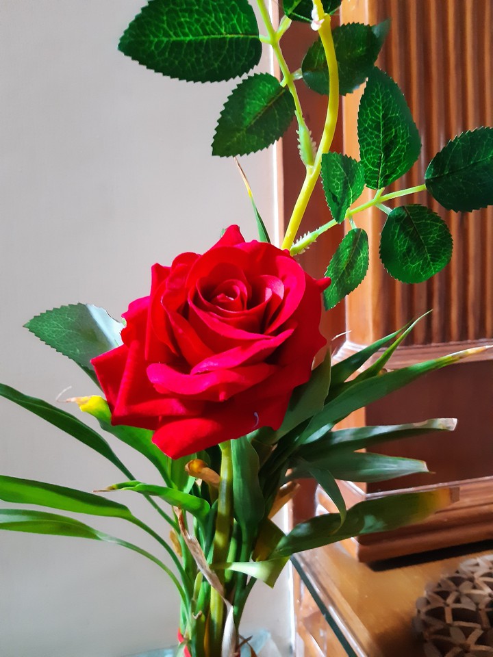 rose
