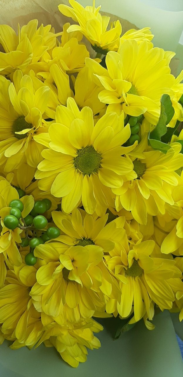 Bouquet