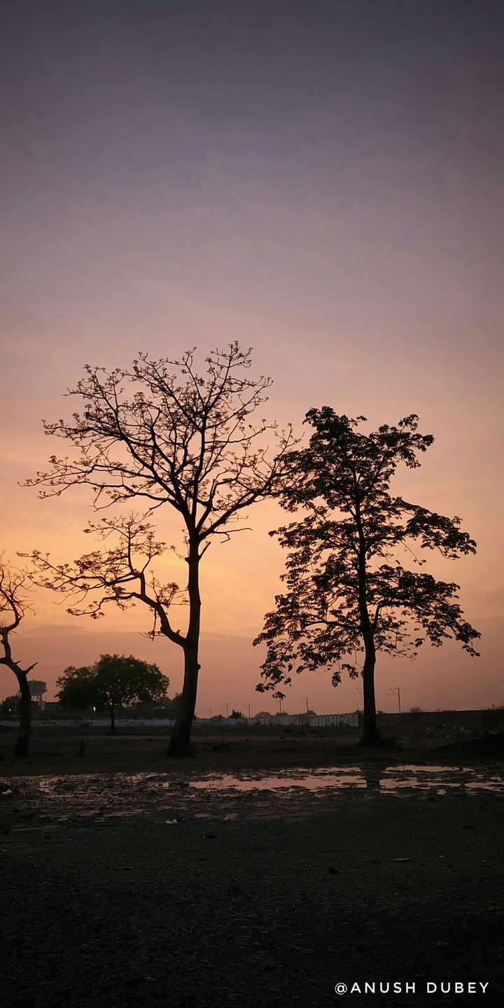 Beautiful Scene Of Nature