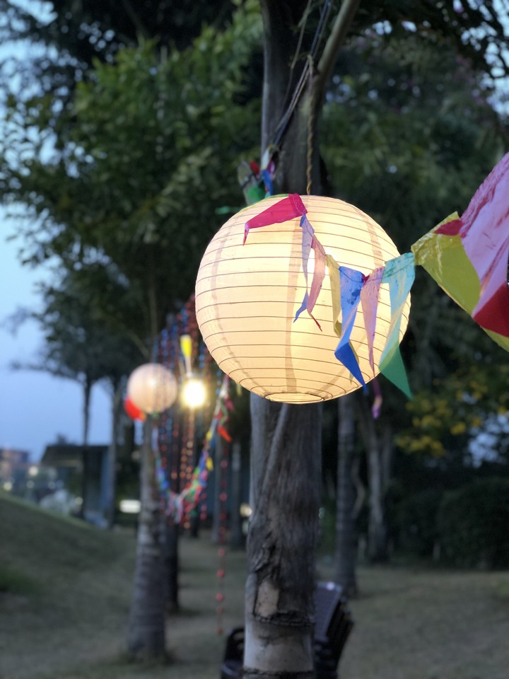 Light up your life