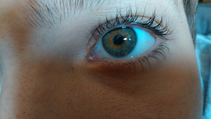 Eyes