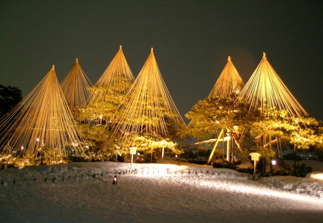 Kenrokuen Gardens illuminated 兼六園 雪吊り