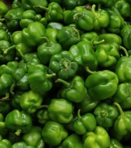 Green Capsicum