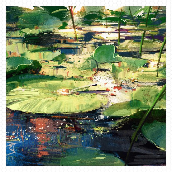 lily pad